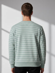 Force NXT Men's Combed Cotton Full Sleeves Striped Sweatshirt