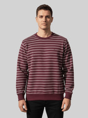 Force NXT Men's Combed Cotton Full Sleeves Striped Sweatshirt