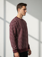 Force NXT Men's Combed Cotton Full Sleeves Striped Sweatshirt