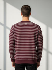 Force NXT Men's Combed Cotton Full Sleeves Striped Sweatshirt