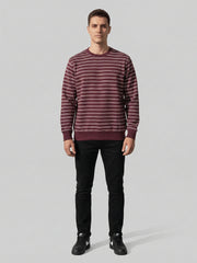 Force NXT Men's Combed Cotton Full Sleeves Striped Sweatshirt